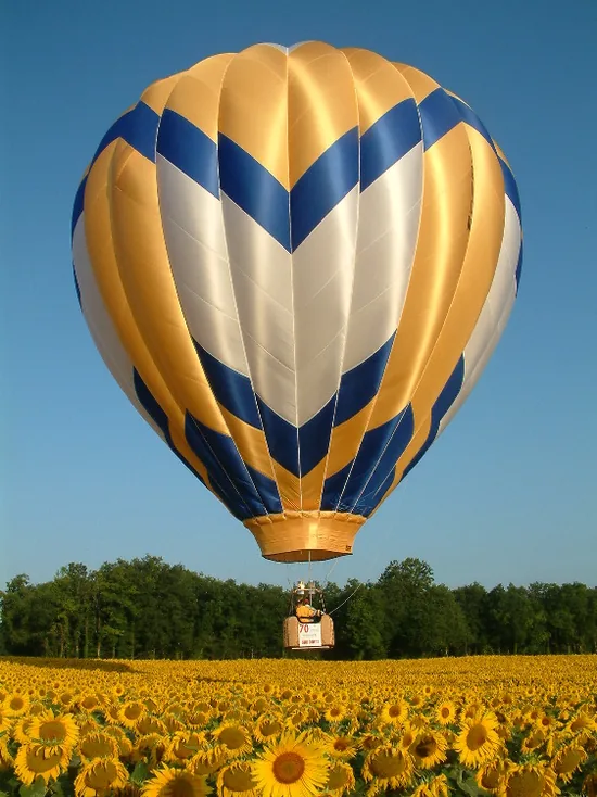 Montgolfiere du Bocage à Saint-Pierre-du-Chemin, Vendee (85)