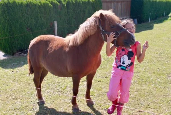 Mon Ami Poney Les Pennes-Mirabeau à Les Pennes-Mirabeau, Bouches-du-Rhône (13)