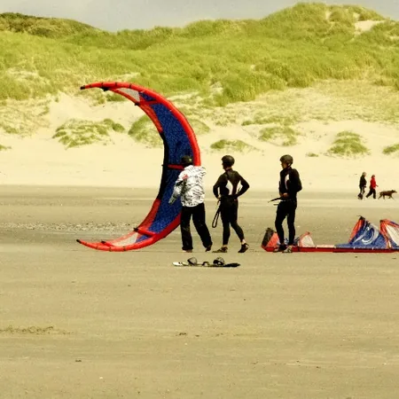 Mskite à Fort-Mahon-Plage, Somme (80)