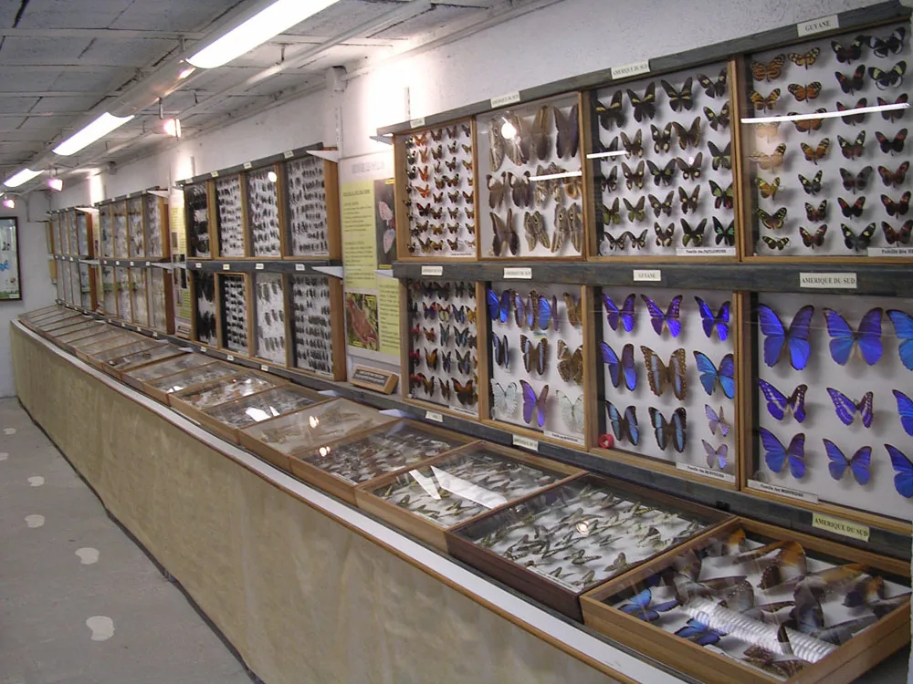 MUSÉE DES PAPILLONS DE FUVEAU à Fuveau, Bouches-du-Rhône (13)