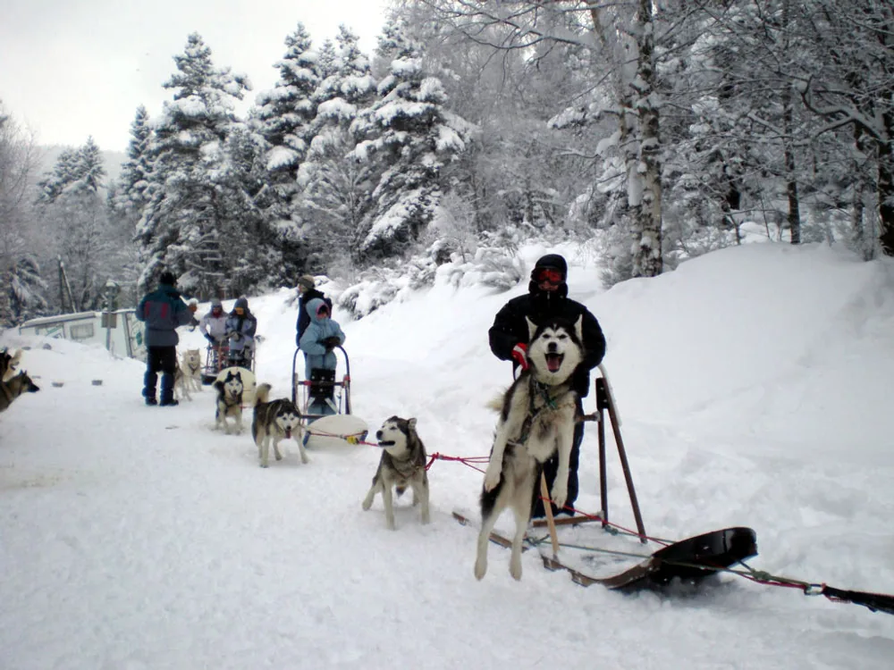 Mush And Rando à Vassieux-en-Vercors, Drôme (26)
