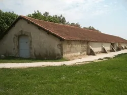 MUSÉE DE LA CAMARGUE en Arles, Bouches-du-Rhône (13)