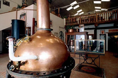 Musée des Arômes et du Parfum à Graveson, Bouches-du-Rhône (13)