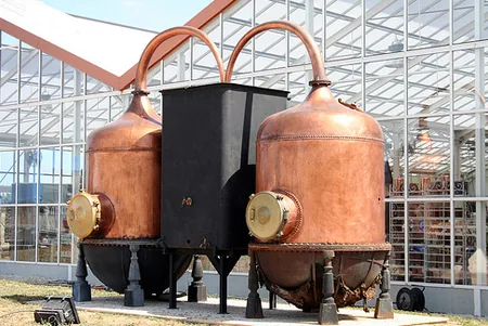 Musée International de la Parfumerie à Grasse, Alpes-Maritimes (06)