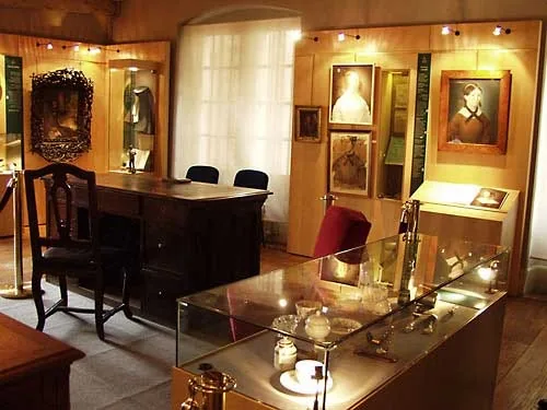 Musée de la maison natale de Louis Pasteur à Dole, Jura (39)