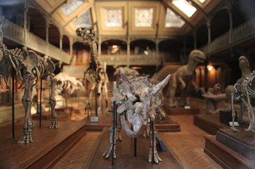 Musée des Miniatures et Décors de Cinéma à Lyon, Rhône (69)