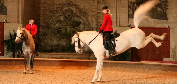 Musee Vivant du Cheval - Grandes Ecuries du Domaine de Chantilly à Chantilly, Oise (60)