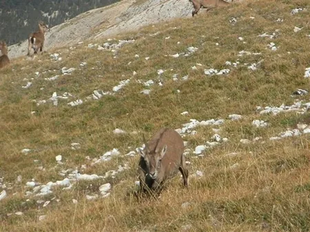 Namaste Randonnées Pédestres à Puimoisson, Alpes-de-Haute-Provence (04)