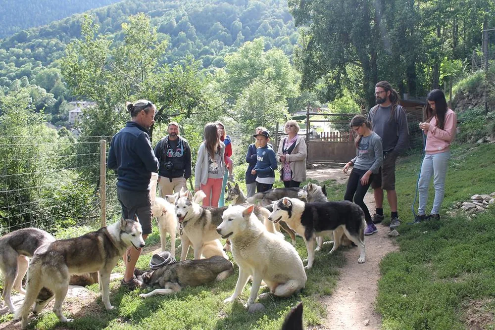 Nordican Pyrénées - Base écocanine à Lercoul, Ariège (09)