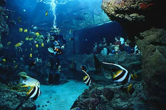 Océanopolis à Brest, Finistère (29)