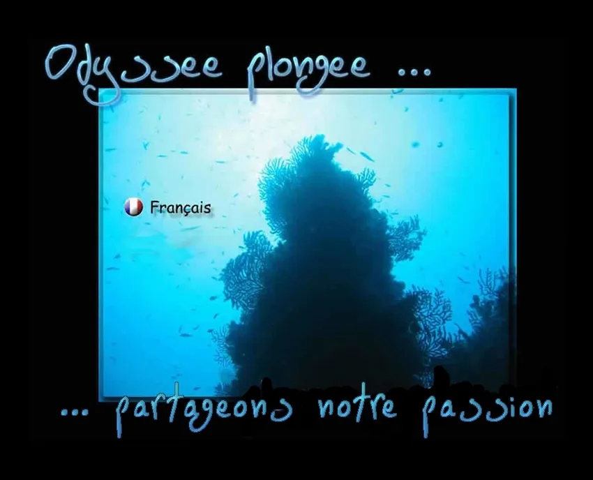 Odyssee Plongee à Ajaccio, Corse-du-Sud (2A)