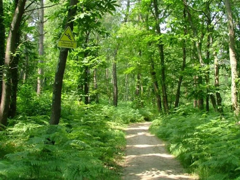 Parc Anjou Aventure à Écouflant, Maine-et-Loire (49)