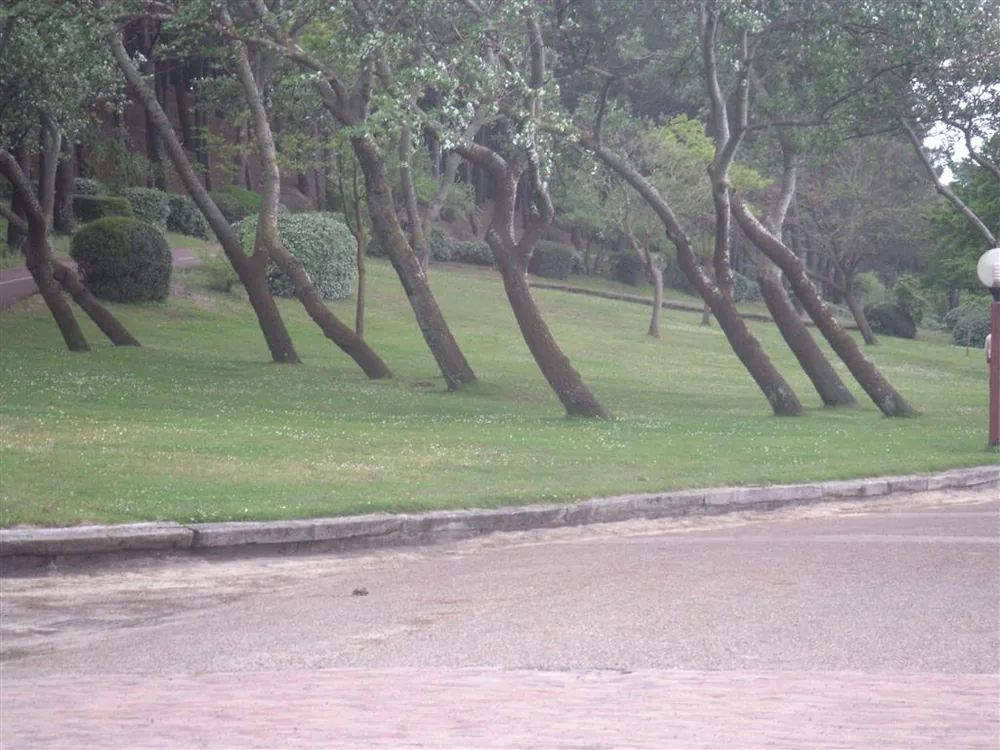 Parc Pereire à Arcachon, Gironde (33)