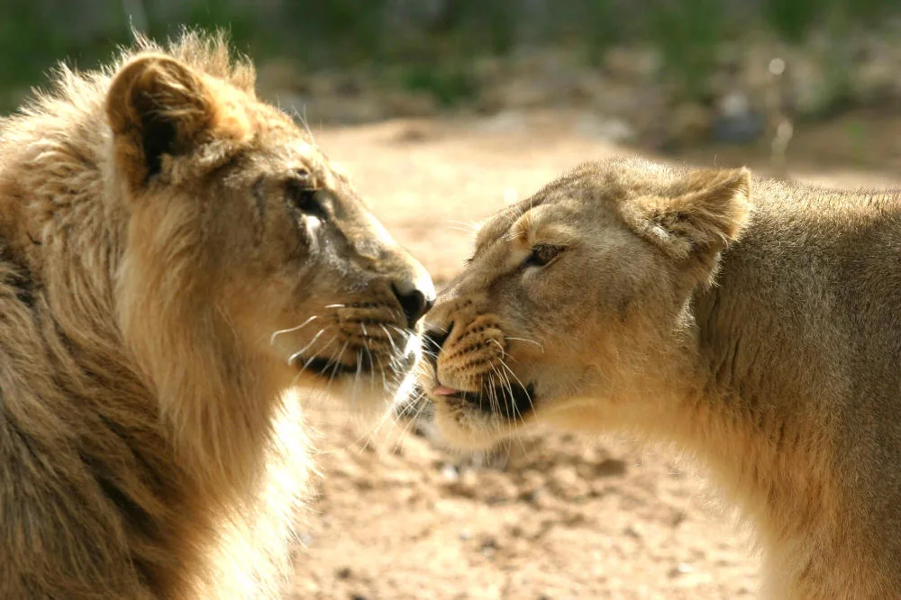 Parc Zoologique et Botanique de Mulhouse à Mulhouse, Haut-Rhin (68)