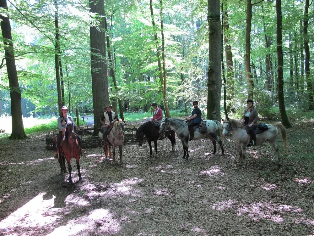 Parigné Cheval Aventures à Parigné-l'Évêque, Sarthe (72)