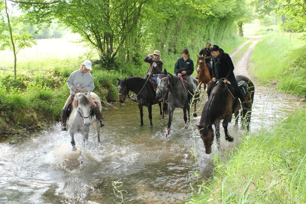 Parlons Cheval, Parlons Comminges à Salies-du-Salat, Haute-Garonne (31)