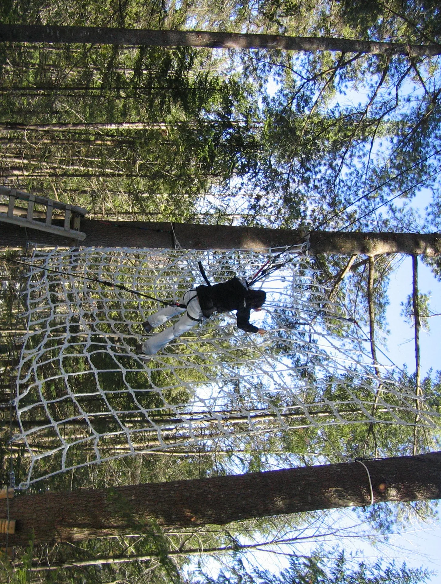 Parcours dans les arbres / escalade Alma à Migné-Auxances, Vienne (86)