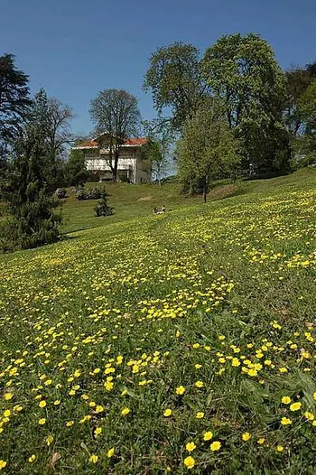 Parc de Chabrières - La Fête de l'Iris à Oullins, Rhône (69)