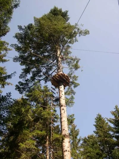 Parcours Aventure St Nizier à Saint-Nizier-du-Moucherotte, Isère (38)