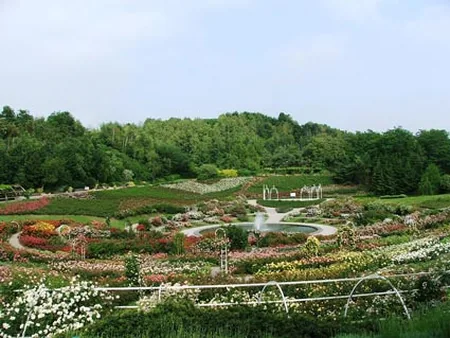 Parc Floral de la Colline aux Oiseaux à Caen, Calvados (14)
