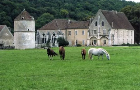 Parc de l'Abbaye Cistercienne de Reigny à Vermenton, Yonne (89)
