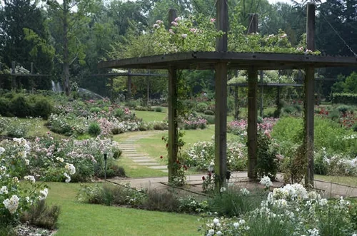 Parc floral de la Roseraie à Poitiers, Vienne (86)
