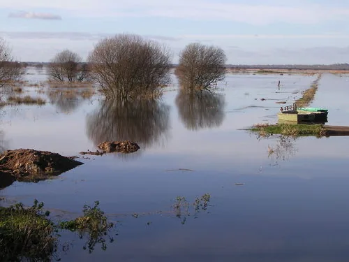 Parc Naturel Régional des Marais du Cotentin et du Bessin à Saint-Côme-du-Mont, Manche (50)