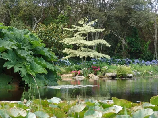 Parc Botanique de Cornouaille à Combrit, Finistère (29)