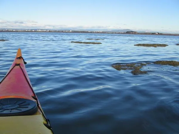 Palavas les Flots Canoë Kayak à Palavas-les-Flots, Hérault (34)