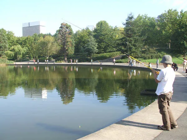 Parc Andre Malraux à Nanterre, Hauts-de-Seine (92)