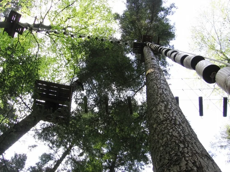 Parc Alsace Aventure à Le Hohwald, Bas-Rhin (67)
