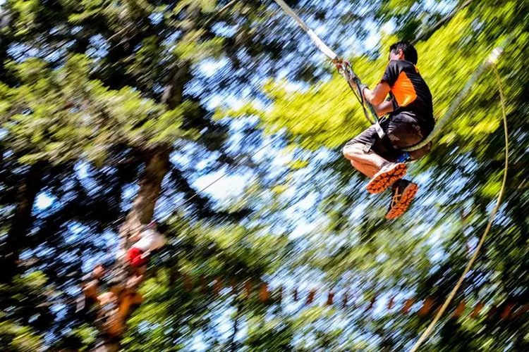 tarzan
Crédit photo: Fabien Orsi
