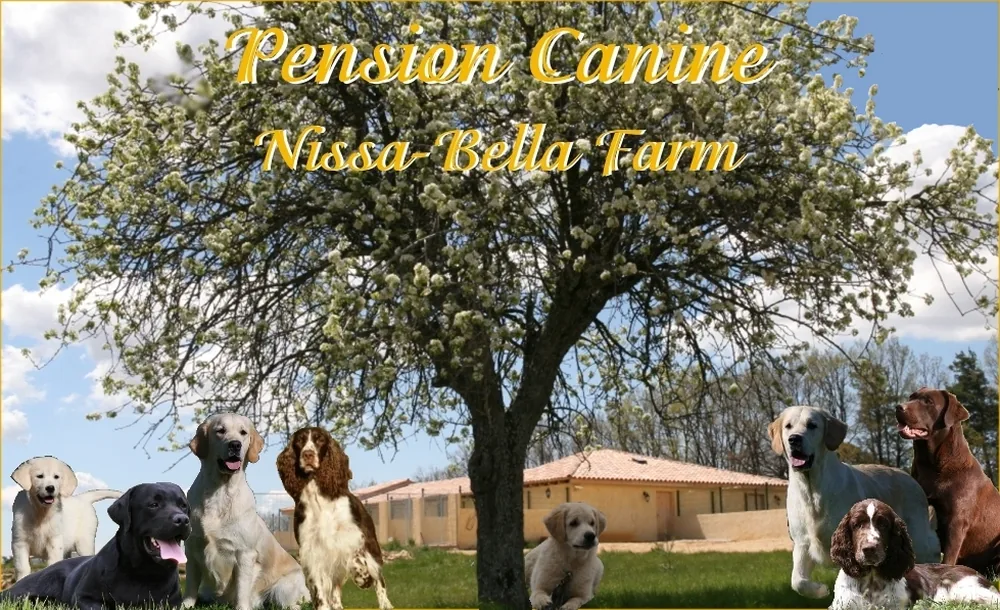 Pension Canine Nissa Bella Farm à Simiane-la-Rotonde, Alpes-de-Haute-Provence (04)