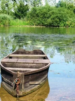 Pêche à Heuilley-sur-Saône, Côte-d'Or (21)