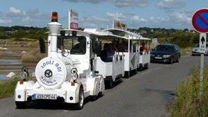 Petit Train de la Turballe à La Turballe, Loire-Atlantique (44)