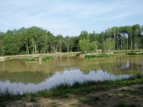 Pêche à la carpe au Grand Soupeau à Neung-sur-Beuvron, Loir-et-Cher (41)