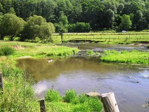 Pêche la Gaule Gerbévilloise à Moyen, Meurthe et Moselle (54)