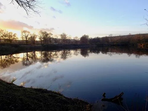 Pêche la Gaule Pagnotine à Pagny-sur-Moselle, Meurthe et Moselle (54)