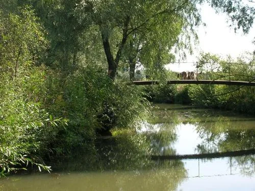 Pêche sur le Sanon à Parroy, Meurthe et Moselle (54)