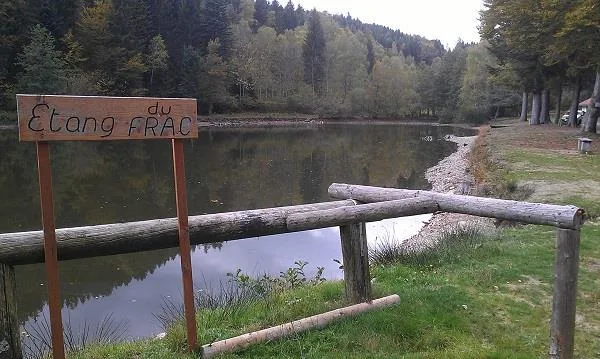 Pêche à l'Étang du Frac à Fresse-sur-Moselle, Vosges (88)