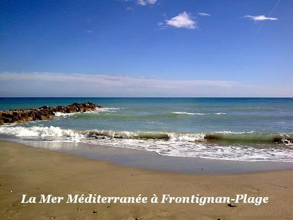 Pêche du Sud, Loisir et Culture Halieutique. à Pignan, Hérault (34)