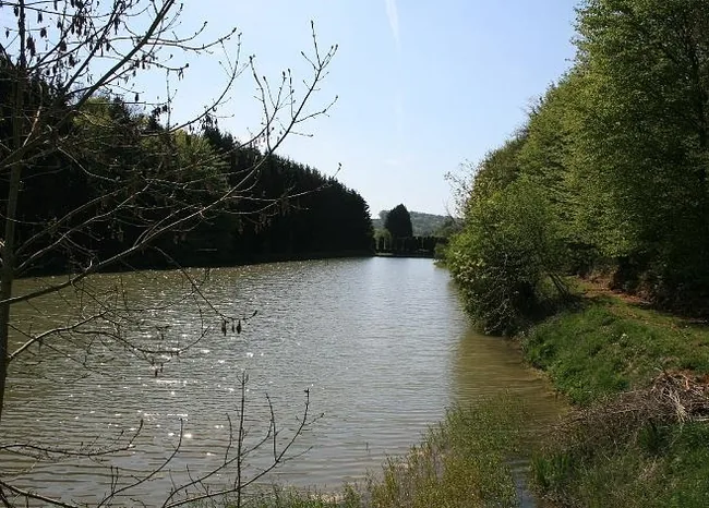 Pêcherie les Étangs de Brouennes à Brouennes, Meuse (55)