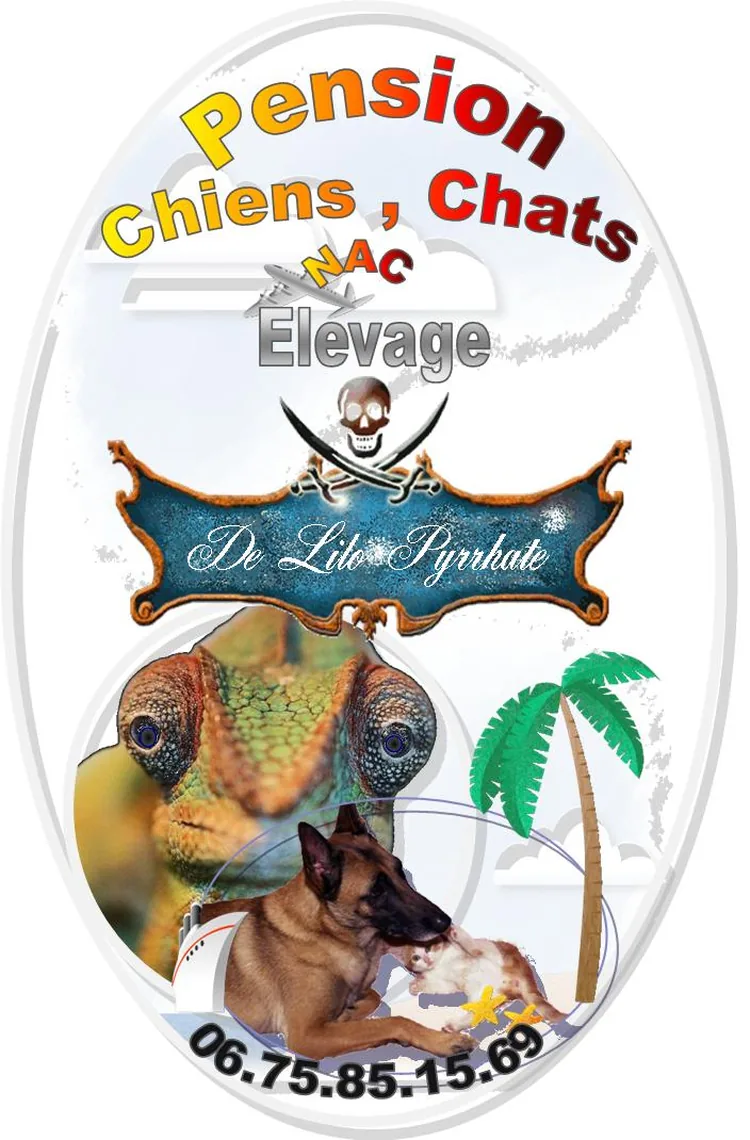 Élevage de Lilo Pyrrhate à Vernon, Eure (27)