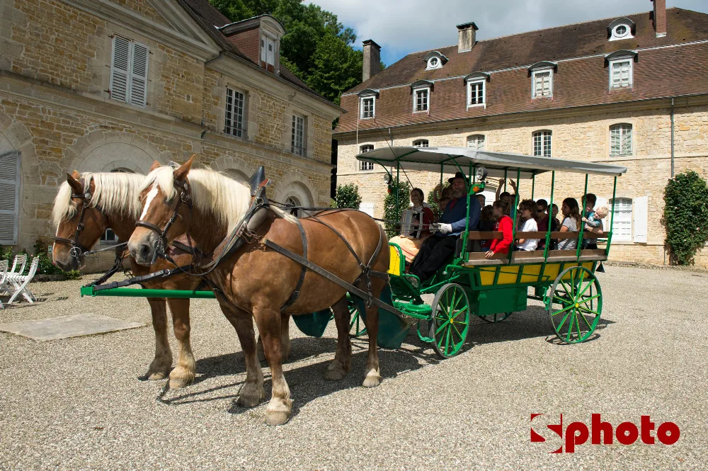 Pichevel à Champrougier, Jura (39)