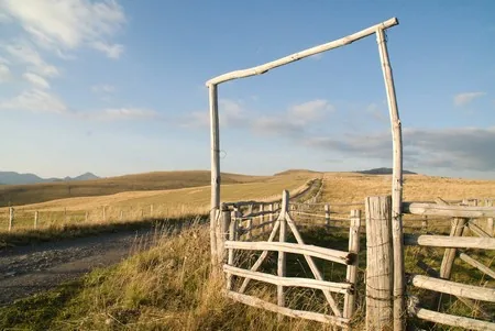 Plateau d'Estive Commune de Thiezac à Vic-sur-Cère, Cantal (15)