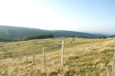 Plateau d'Estive de Pailherols à Vic-sur-Cère, Cantal (15)