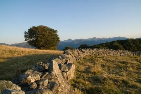 Plateau d'Estive de Saint Jacques des Blats à Vic-sur-Cère, Cantal (15)