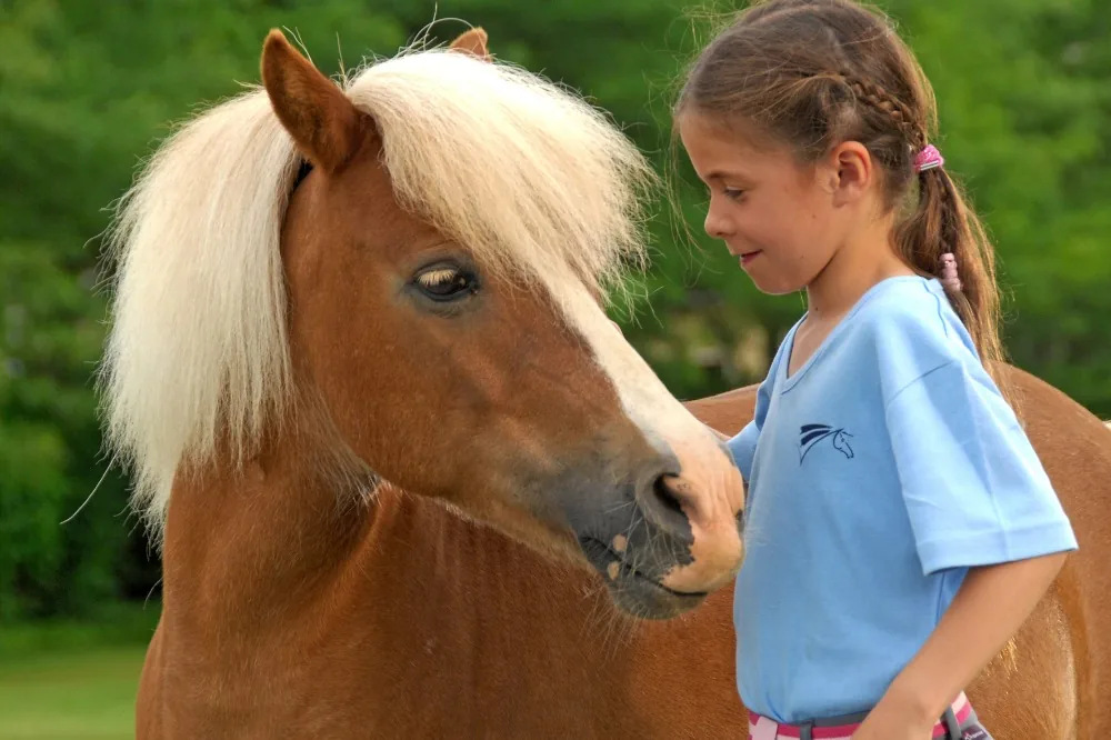 le cheval, c'est trop génial !