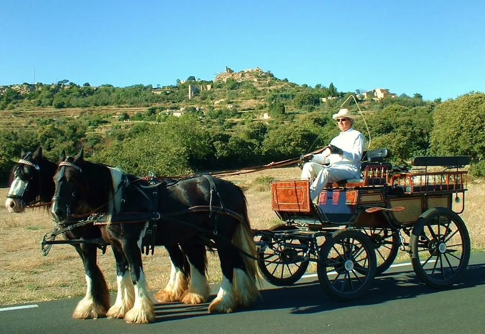 Poney Express Attelage à Vernègues, Bouches-du-Rhône (13)