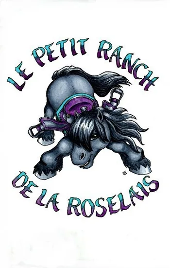Poney Club le Petit Ranch à Roz-sur-Couesnon, Ille-et-Vilaine (35)